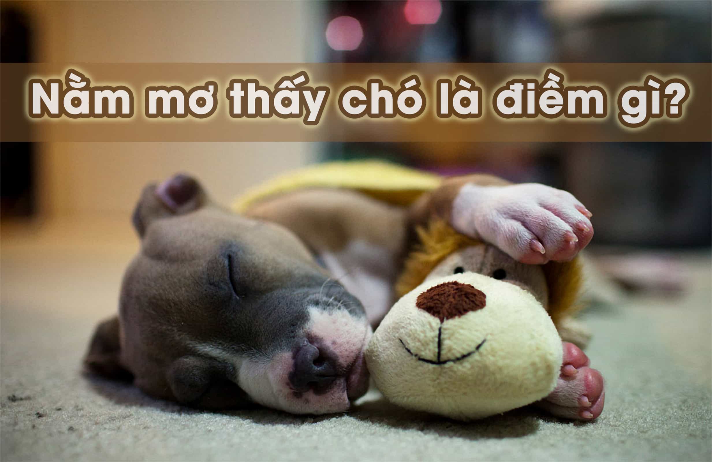 Cách tra giải mã những giấc mơ đánh đề